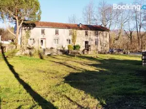 La Ciboulette