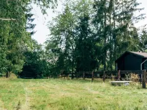 Wunderschönes Chalet mit Gästehaus in der Natur mit Fasssauna