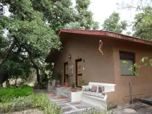 Bandhavgarh Jungle Lodge