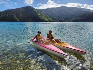 Picton Paradise Cottages