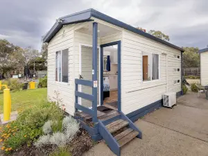 Pet Friendly On The Great Ocean Road