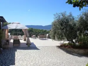 Fattoria Cristina - Fenice