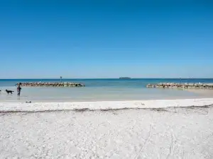 Newly Renovated Condo in Apollo Beach