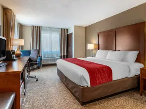 Comfort Inn la Porte