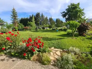 Apartman Bepo