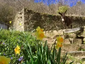 Le Gîte - la Ferme du Pouget