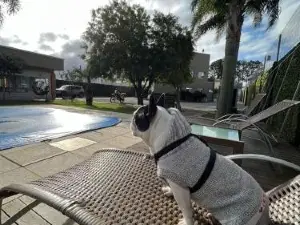 Viageiro Casa Hotel