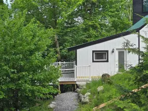 Newly Renovated Cozy Lakeside Vacation Cottage, Mountain Views, Pet Friendly