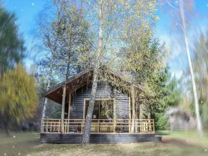 Metai Miške&a Year in the Forest
