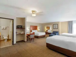 Comfort Inn & Suites Near Fallon Naval Air Station