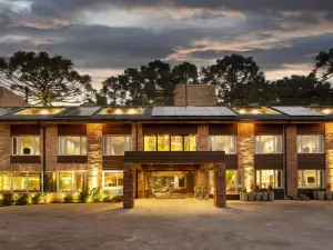 簡加爾達薩拉魯卡里亞天鵝設計飯店金奈萊