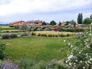 อิลฟิเอนิเล ดิ อัสซีซี