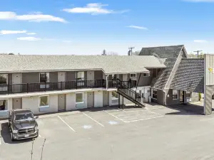 เดอะเอล์มวูด