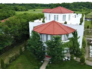 YOUness WELLness Clinic & Retreats