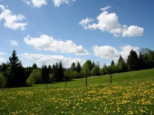 Auberge de la Perdrix