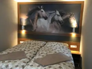 Hotel U koně