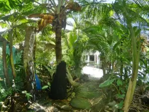 Hotel Swell Pavones
