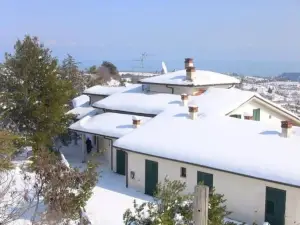 Il Corbezzolo