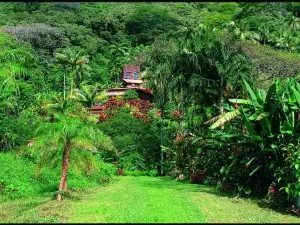 Waipio Valley Botanical Garden with Waterfall & Beach Access!