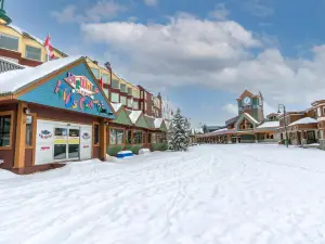 I Spy - Cozy Pet Friendly, Ski in/Ski Out Condo with Private Hot Tub