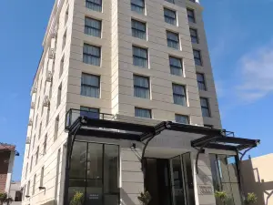 Premium Tower Suites San Luis