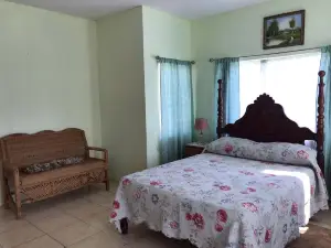 Beautiful 2-Bed Apartment in Sunny Jamaica