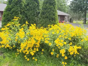 Hudson Valley 9w Motel