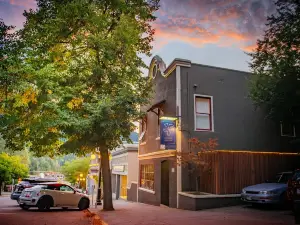 댄싱 베어 인 호스텔