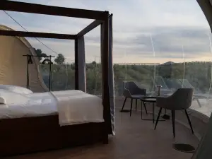 พาโนรามิก สวีทส์