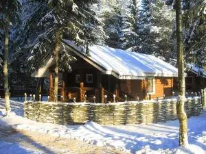 Green Forest Club