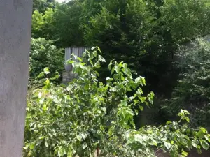 Ilgar's Hostel