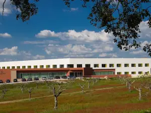 Monte Filipe Hotel