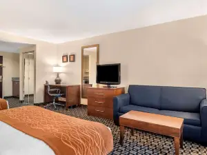 Comfort Inn & Suites