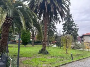 Lekuona