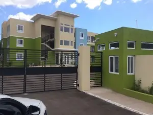 キングストン アパートメント アット トレス ビスタ