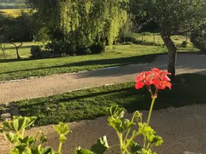 Pivoine Chambre D Hotes