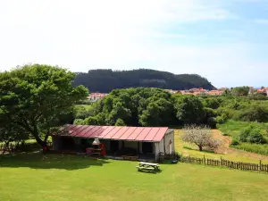 Complejo Rural Las Mimosas del Nalon