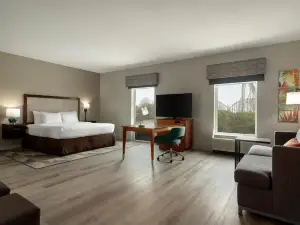 Hampton Inn and Suites by Hilton Tampa Busch Gardens Area