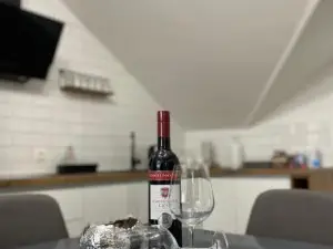 Apartman PAVIĆ