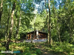 Cozy, Wooden Chalet with a Microwave, Located in a Forest