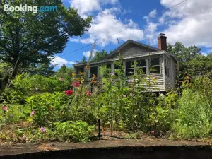 Little Loon Cottage and Beach on Webster Lake