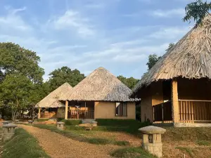 Saffron Lake Yala