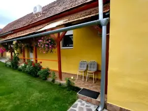Kata Vendeghaz