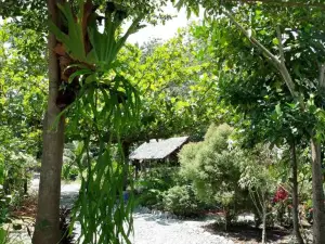 Magpie Homestay & Jungle Trekking Only for Guest Trekking with us