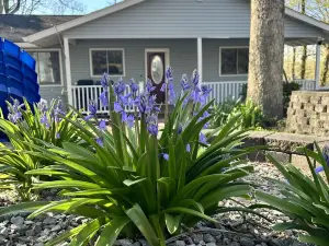 Incredible Lake House with Amazing Water Views, 2 Bay Dock and Game Room!