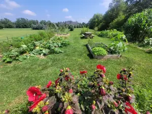 The Groveland Guesthouse  on 3 acres