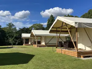 Wood Design Park Seto