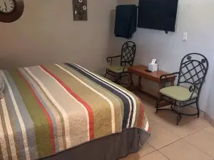 Desert Oasis Condo Su
