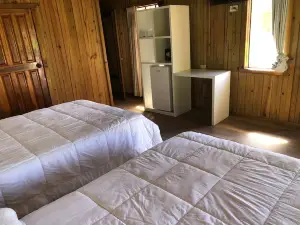 Coconut Tree West End