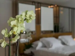 Vinatea Suites